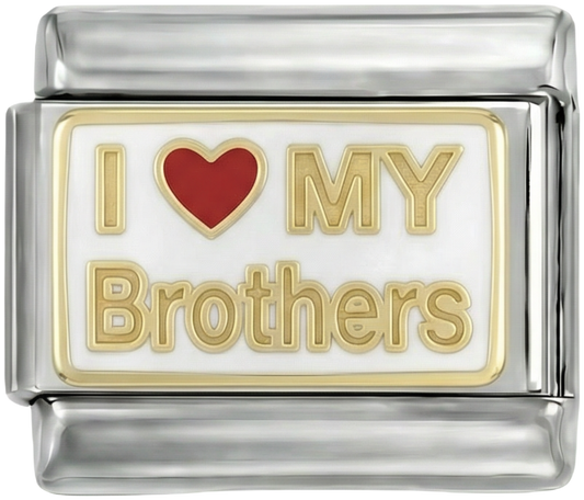 I love my brothers, on Silver - i-love-my-brother-on-silver.png