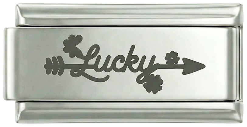 Life Goal Lucky, on Silver - life-goal-lucky-on-silver.png
