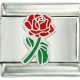 Whole Red Rose with Its Green Stem