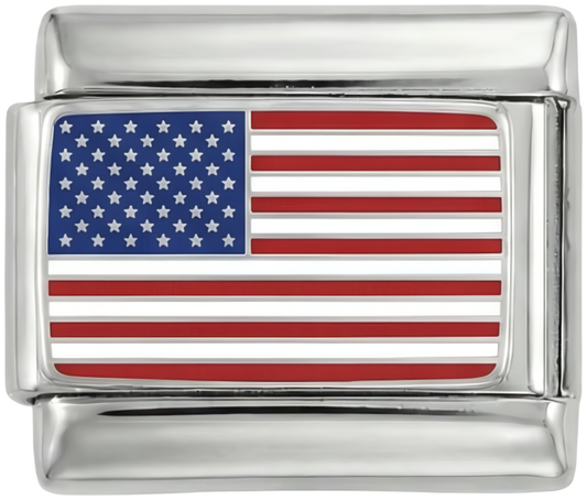 United States Flag, on Silver - united-states-on-silver.png